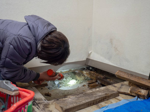 Best Biohazard Mold Removal  in North Kensington, MD