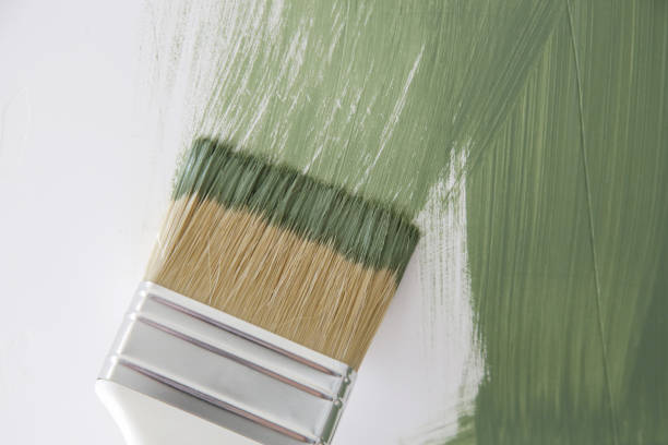 Mold Odor Removal Services in North Kensington, MD