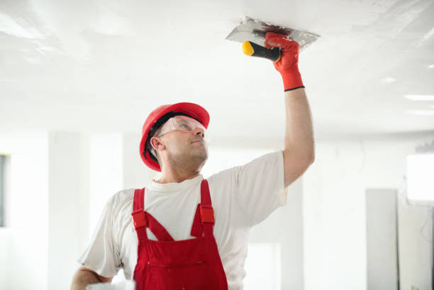 Best Emergency Mold Remediation  in North Kensington, MD